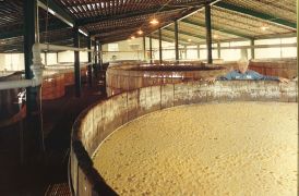Wild Turkey cypress fermentation tanks